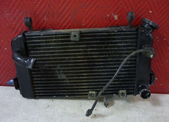 Radiateur Suzuki SV 650
