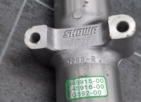 Voorpoten Harley Davidson FLSTF Fat Boy Lo