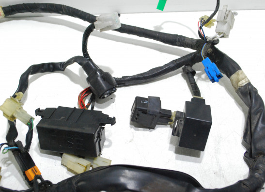 Wire Harness Yamaha FAZER 600