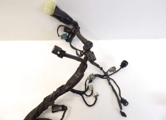 Wire Harness Kawasaki ER 6
