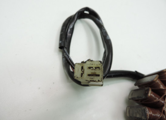 Dynamo Kawasaki ZXR 400