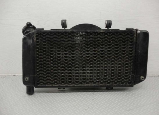 Radiateur Yamaha TDM