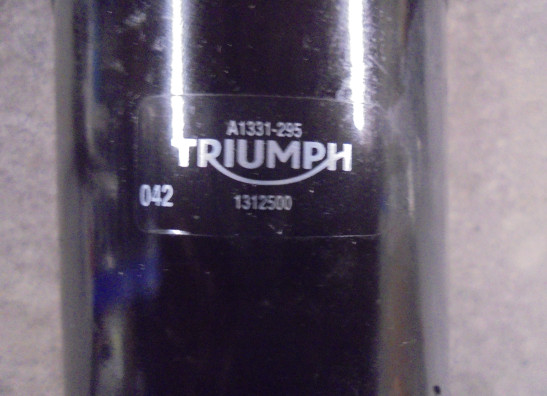 Startmotor Triumph Speed Triple 1200 RR