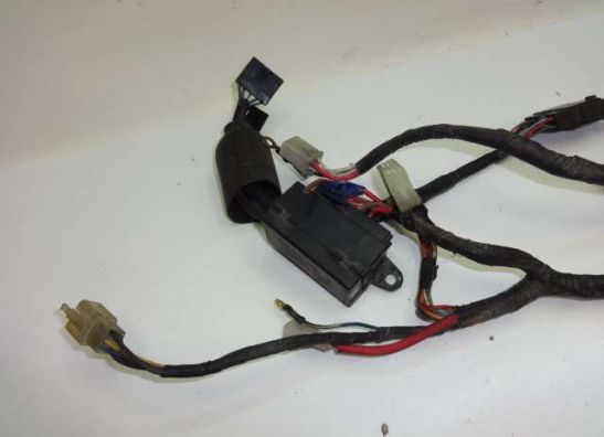 Wire Harness Yamaha XJ 600 Diversion
