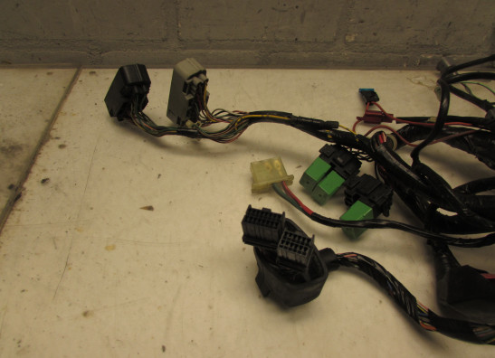 Wire Harness Honda Silverwing