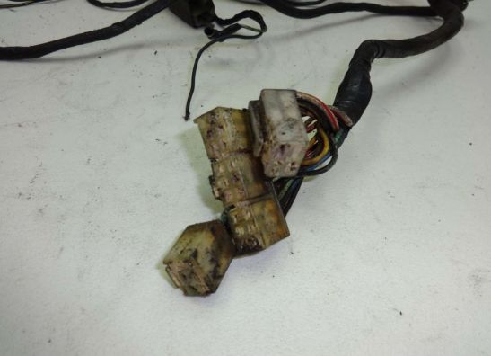 Wire Harness Kawasaki GPZ 900