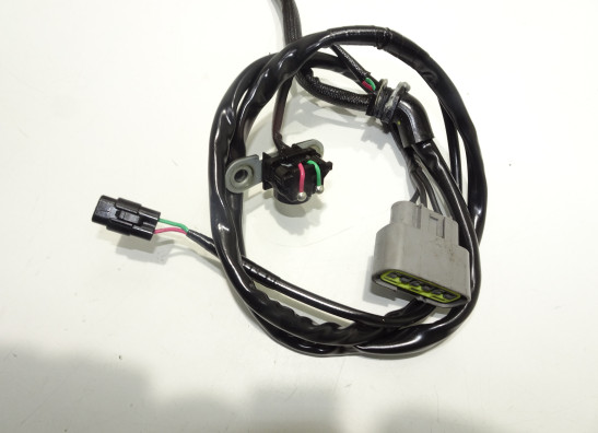 Dynamo Triumph Bonneville T 120