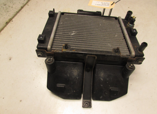 Kuhler Kymco People S 300i