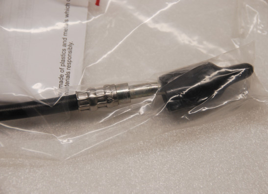 Remstang Harley Davidson Softtail