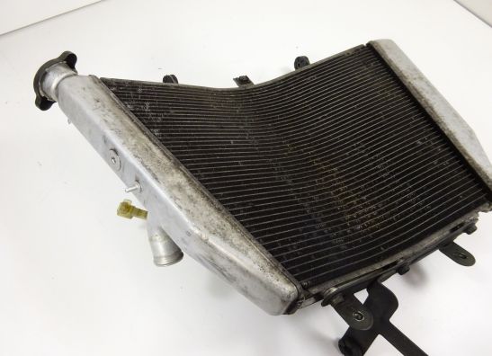 Radiator Suzuki GSX R 1000