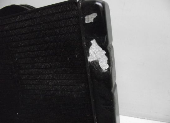 Radiator Yamaha YZF 600 Thundercat