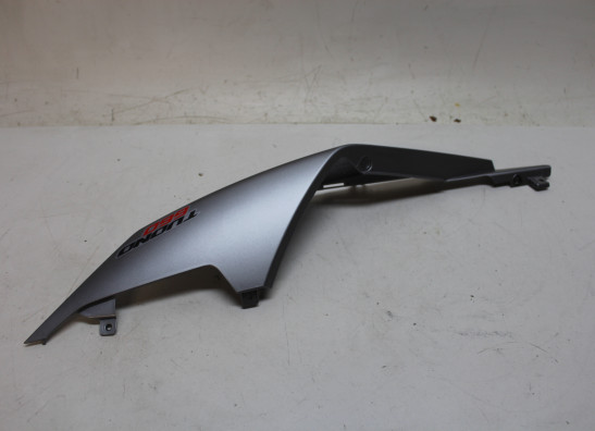 Heck links Aprilia Tuono 660