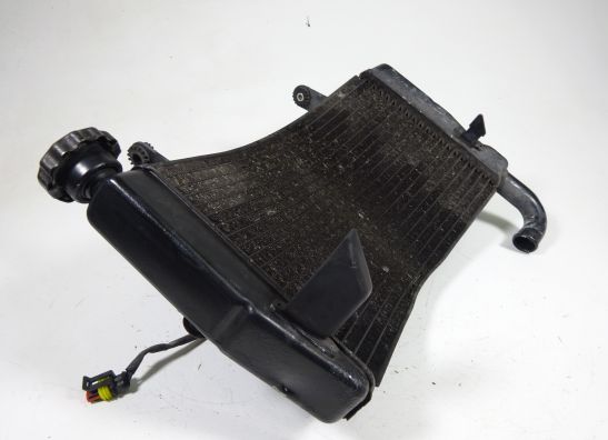 Kuhler Ducati 749  999