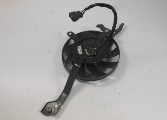Fan Triumph Speed Triple 1050 R