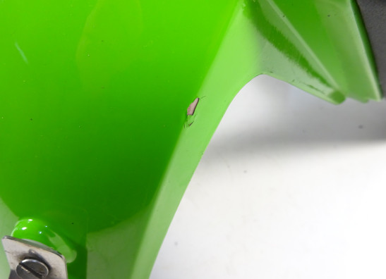 Kotflugel vorne Kawasaki ZX 10 R
