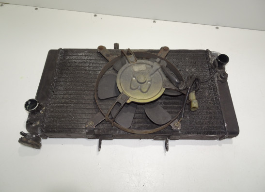 Radiateur Honda CBR 1100 XX