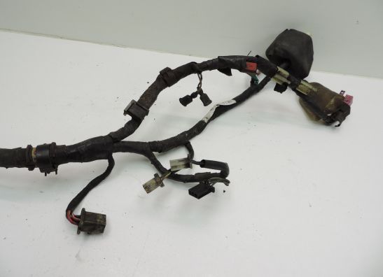 Kabelboom Honda NTV 650