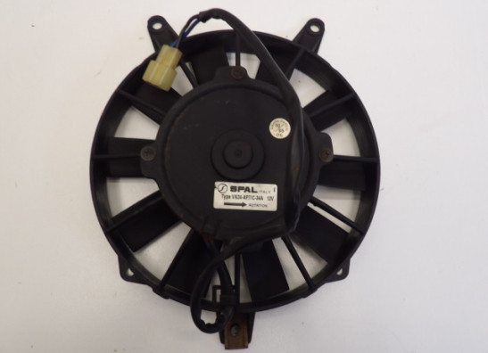 Fan Triumph Trophy 900