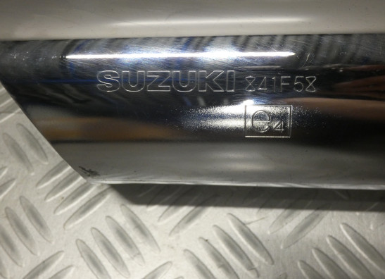 Auspuff Suzuki VL 800
