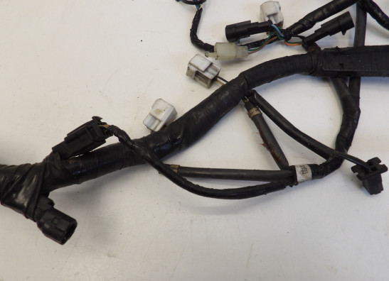 Kabelboom Honda CBR 600 F