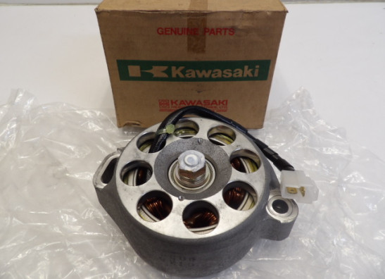 Dynamo Kawasaki ZXR 750