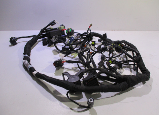Wire Harness KTM 790 Duke