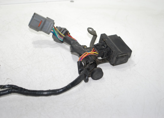 Kabelbaum Kawasaki ZX 10 R