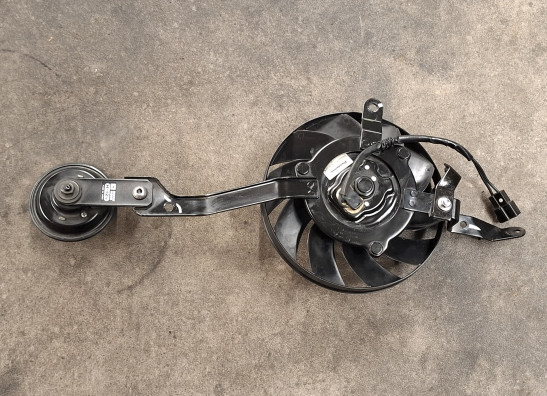 Ventilator Triumph Speed triple RS