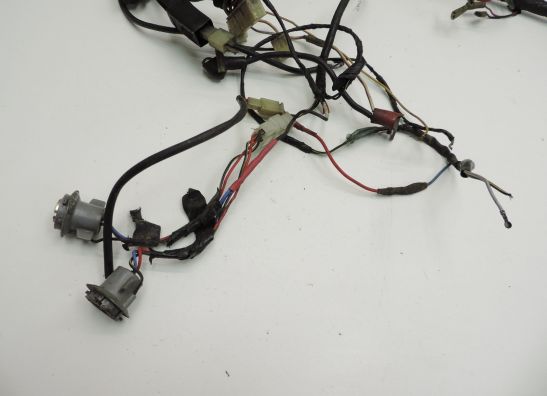 Wire Harness Kawasaki GPZ 900