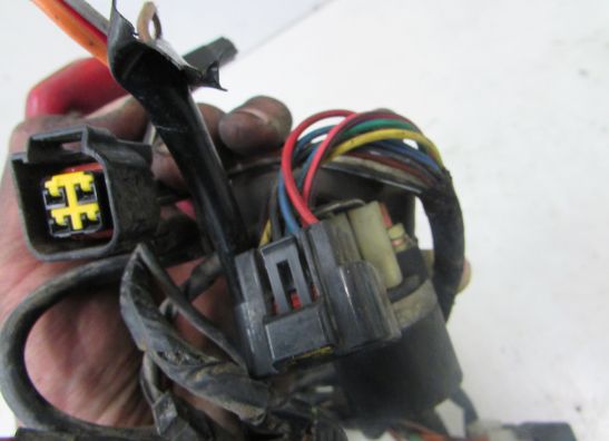 Kabelboom Suzuki GSX F 600