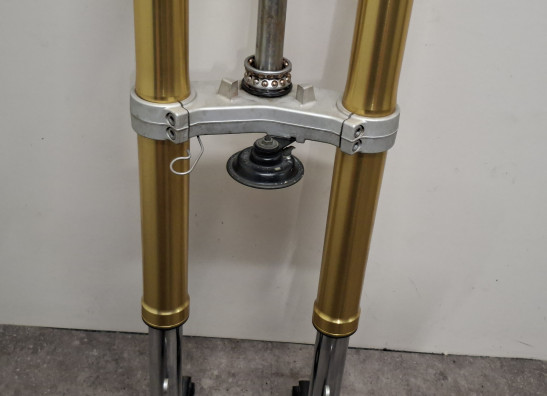 Voorpoten compleet Triumph Tiger 1050