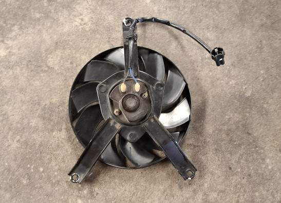 Fan Kawasaki Z 900