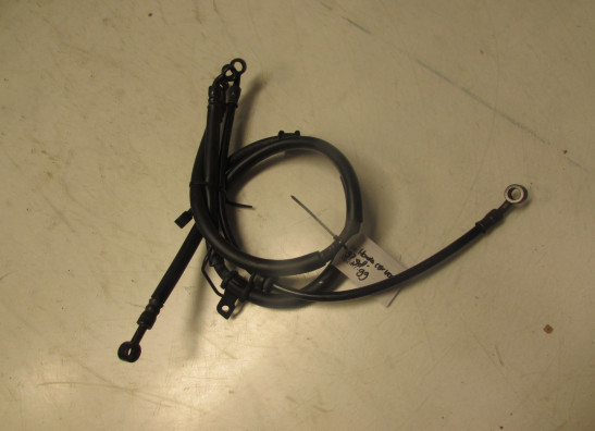 Bremsleitung vorne Honda CBR 1100 XX