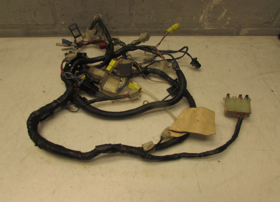 Wire Harness Yamaha V max