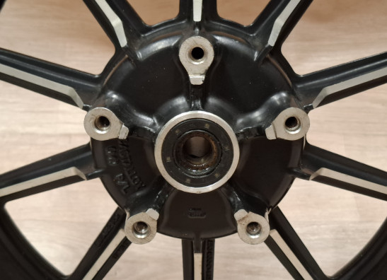 Voorvelg Harley Davidson Touring FL