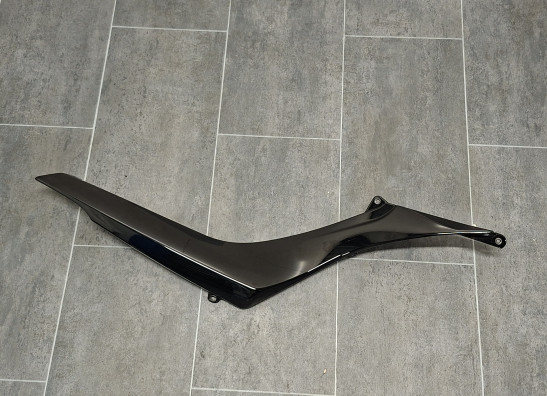 Carenado trasero BMW R 1200 R