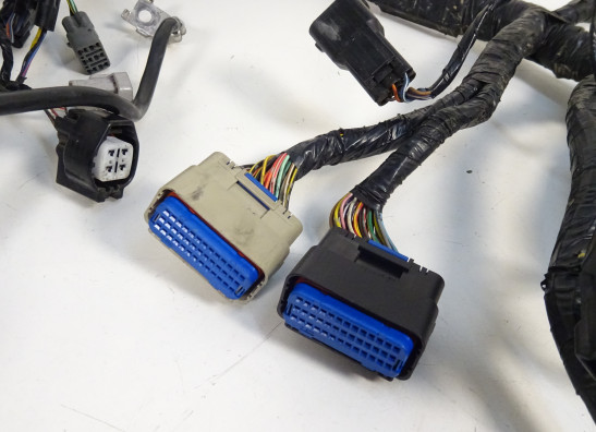Wire Harness Kawasaki ZX 10 R