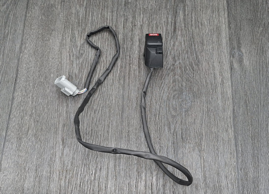 Stuurschakelaar BMW R 1250 GS Adventure