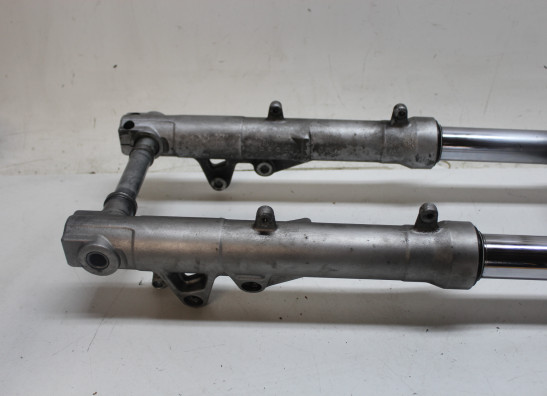 Voorpoten compleet BMW F 800 S - ST