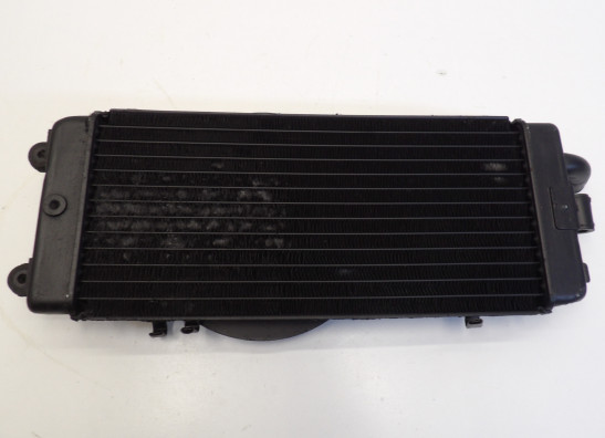 Radiator Honda VT 700 750