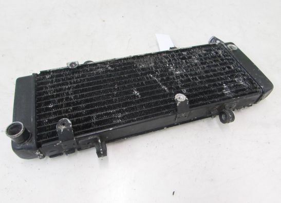 Radiator Honda CBR 600 F
