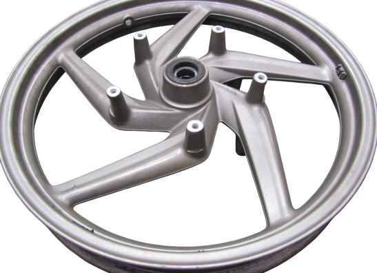 Voorvelg BMW R 1200 GS