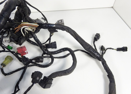 Wire Harness Kawasaki ER 6
