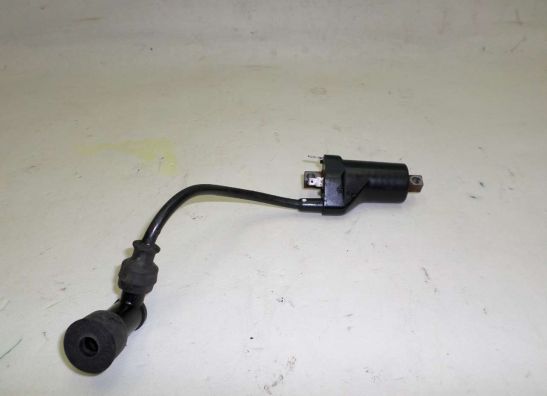 Bobine Suzuki GS 500 E