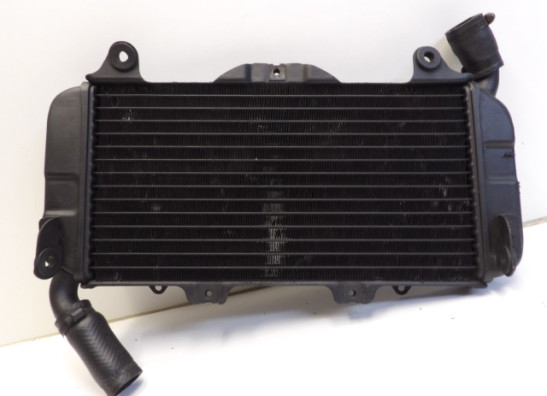 Kuhler Yamaha FZ 750