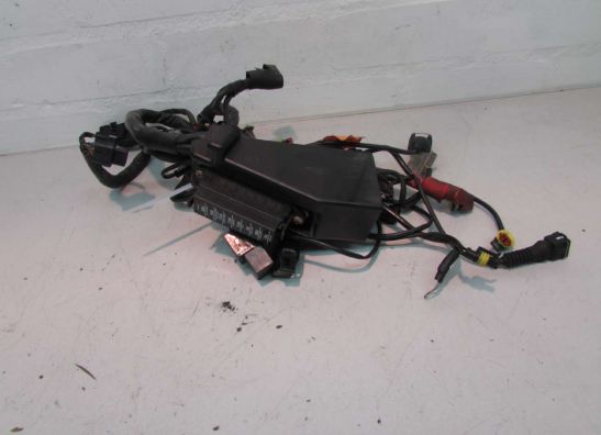 Wire harness front Ducati 750 SS Supersport
