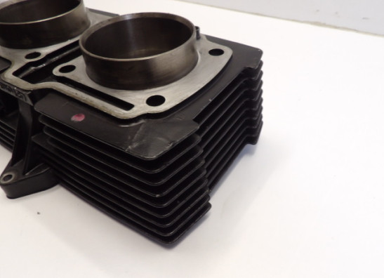 Zylinder Suzuki GS 500 E