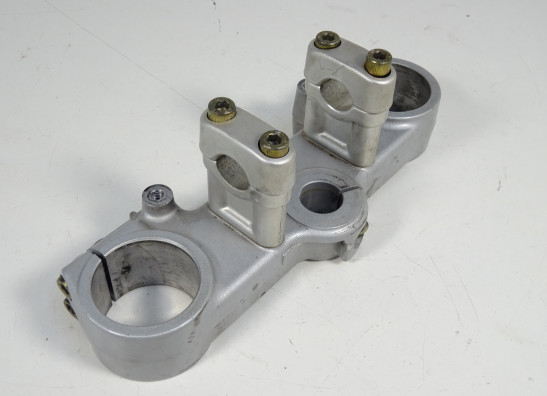 Kroonplaat Ducati monster 600