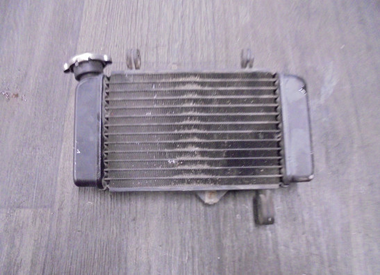 Radiateur Yamaha MT 125