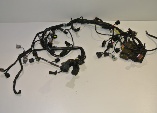 Wire Harness Kawasaki Z 750